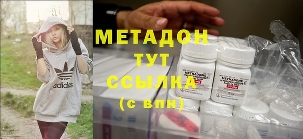 прущие грибы Наволоки