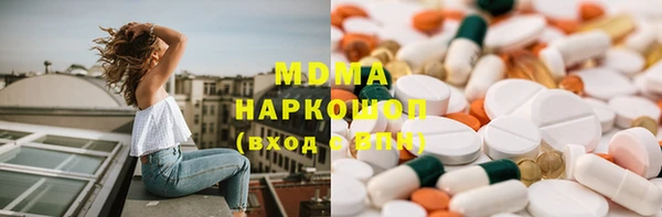 прущие грибы Наволоки