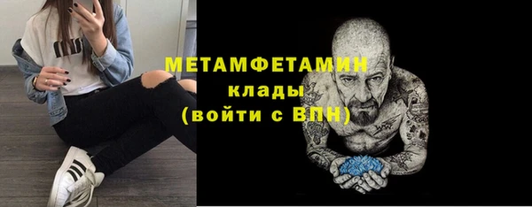 прущие грибы Наволоки