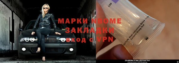 прущие грибы Наволоки