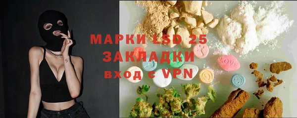 прущие грибы Наволоки