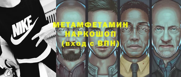 прущие грибы Наволоки