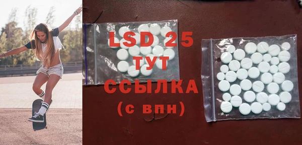 прущие грибы Наволоки